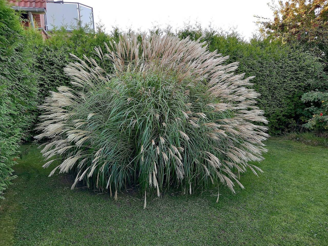 Ganze Ferienwohnung, Adlershof Carolinensiel - Ferienwohnung im Erdgeschoss in Carolinensiel-Harlesiel, Wittmund