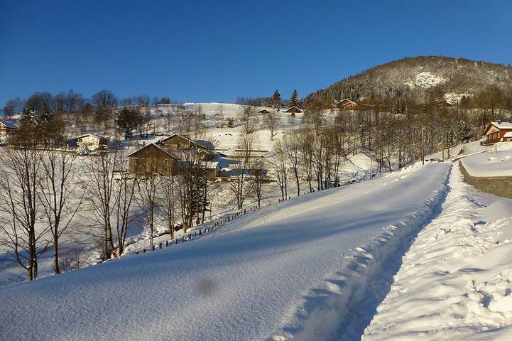 Apartment with terrace in chalet in Bussang, Regionaler Naturpark Belchen der Vogesen