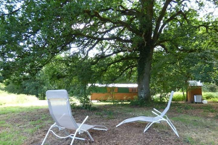 Mobil home pour 4 personnes à Domfront - 4