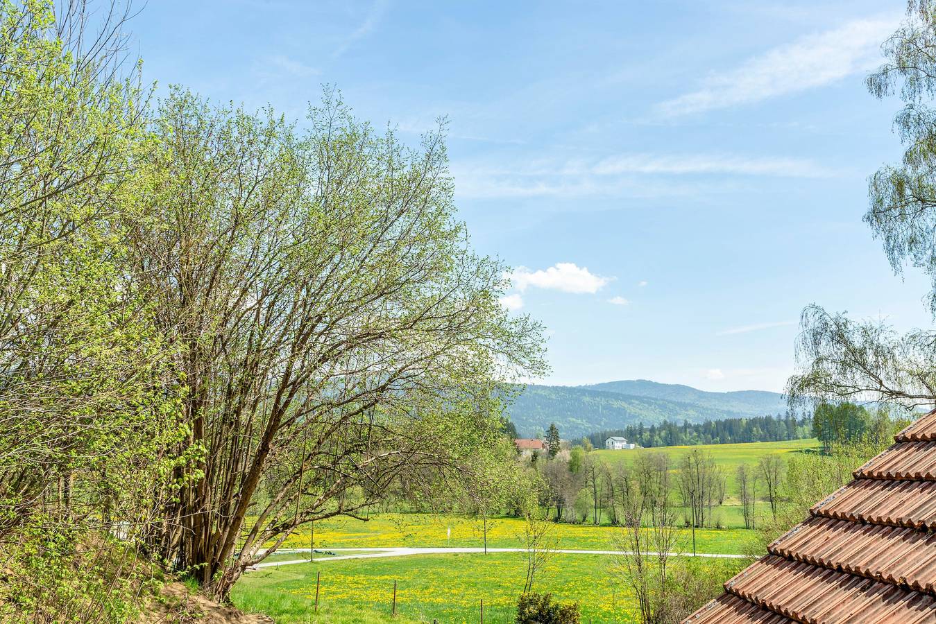Ganze Wohnung, Apartment 'Fewo Enzian' mit Bergblick inkl. privater Sonnenterrasse und Wlan in Breitenberg, Ostbayern