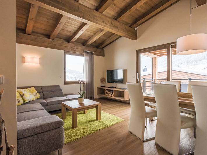 Ferienwohnung für 12 Personen, mit Sauna und Garten sowie Terrasse, mit Haustier - 1