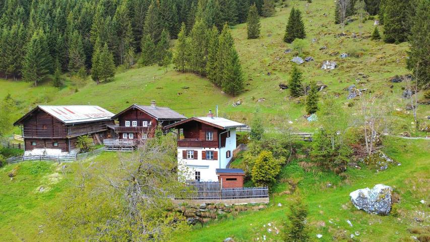 Ferienhaus für 6 Personen, mit Sauna und Balkon sowie Garten in Ski Amadé - 4