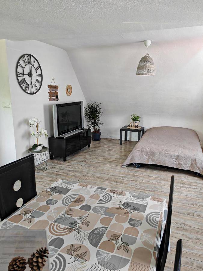 Gîte pour 4 personnes, avec vue et jardin, animaux acceptés à Wintzenheim - 4