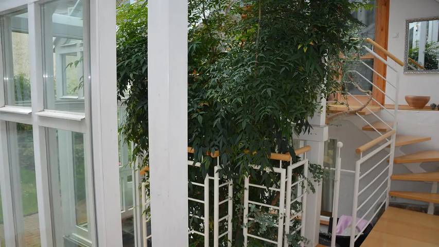 Ferienhaus für 4 Personen, mit Garten in Hambach (Neustadt) - 4