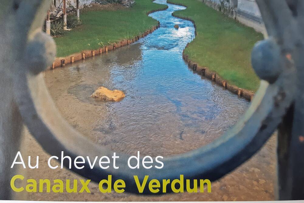 Appartement entier, Plain-pied coeur de Verdun in Verdun (Municipalité), Verdun