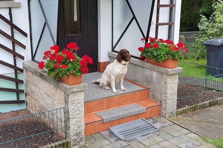 Ferienwohnung für 4 Personen, mit Garten, mit Haustier in Sorge - 3