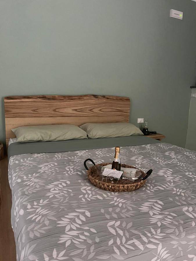 Location de vacances pour 3 personnes, avec sauna ainsi que jardin et vue, animaux acceptés à Borgo San Dalmazzo - 4