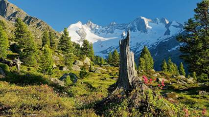 Chalet für 6 Personen, mit Balkon und Sauna in Hochkrimml