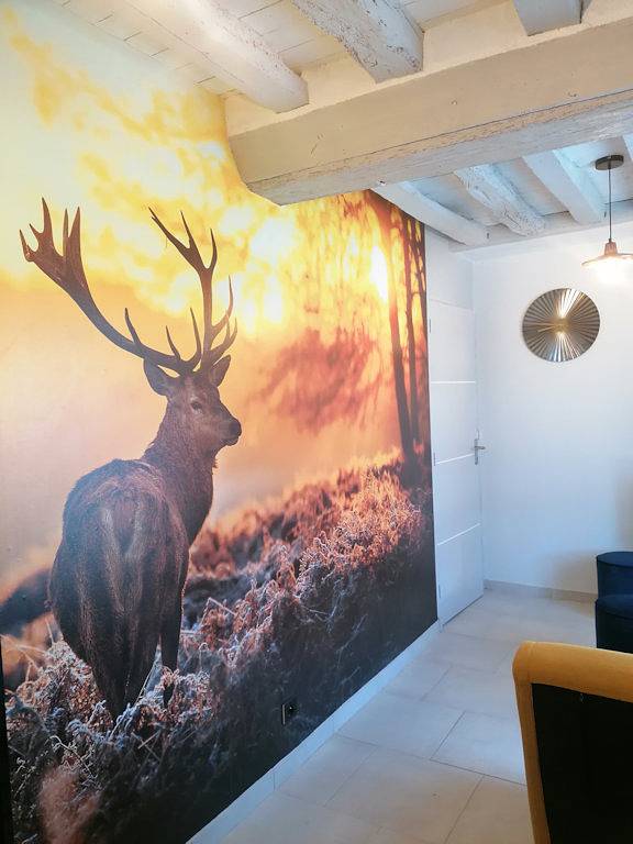 Chambre d’hôte pour 4 personnes, avec vue sur le lac et jardin dans Sologne - 4