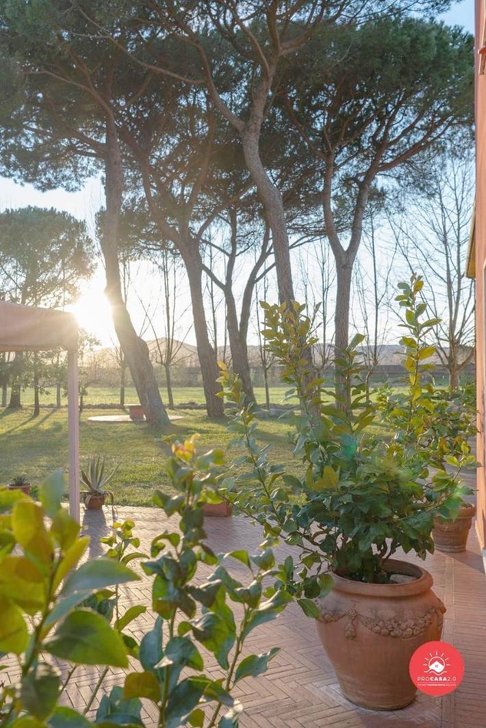 Maison de campagne pour 2 personnes, avec vue ainsi que terrasse et jardin, animaux acceptés à Carrare - 2