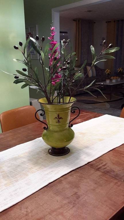 Vacation house for 6 people, with terrace in Mississippi