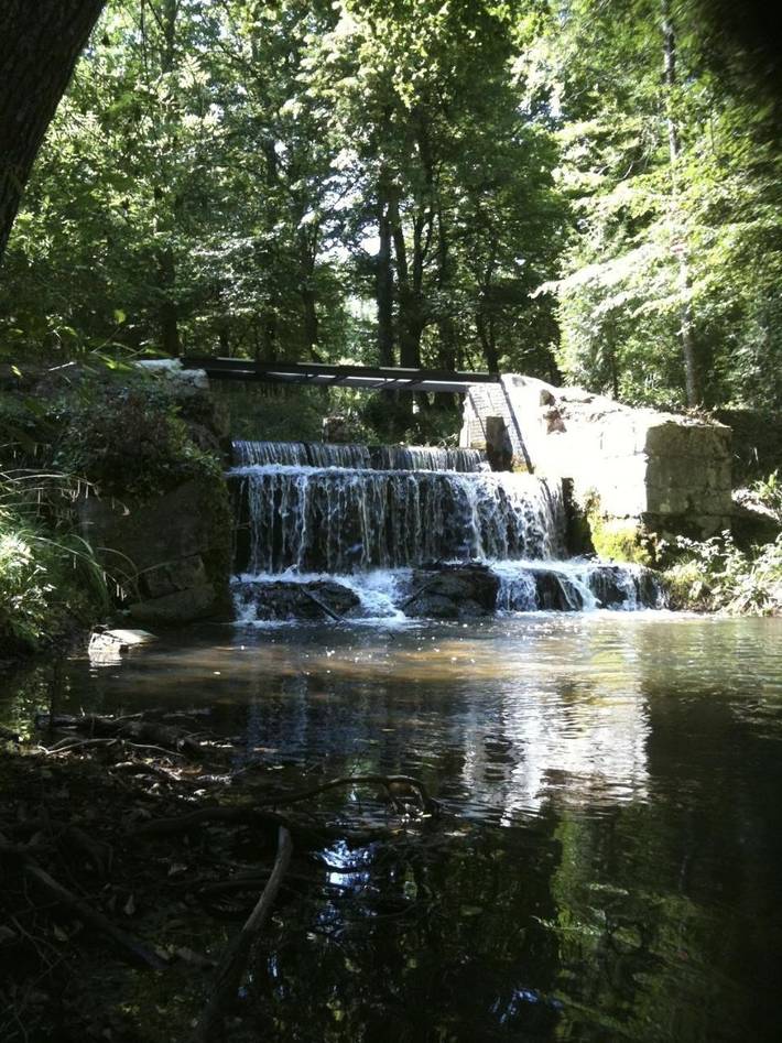 Location de vacances pour 4 personnes, avec vue sur le lac ainsi que vue et jardin à La Brède - 2