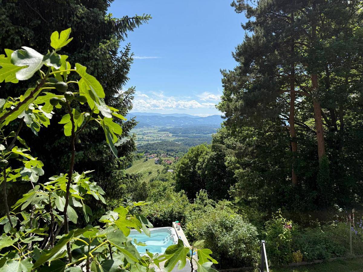Weinblick Kitzeck in Kitzeck im Sausal, Steirerland