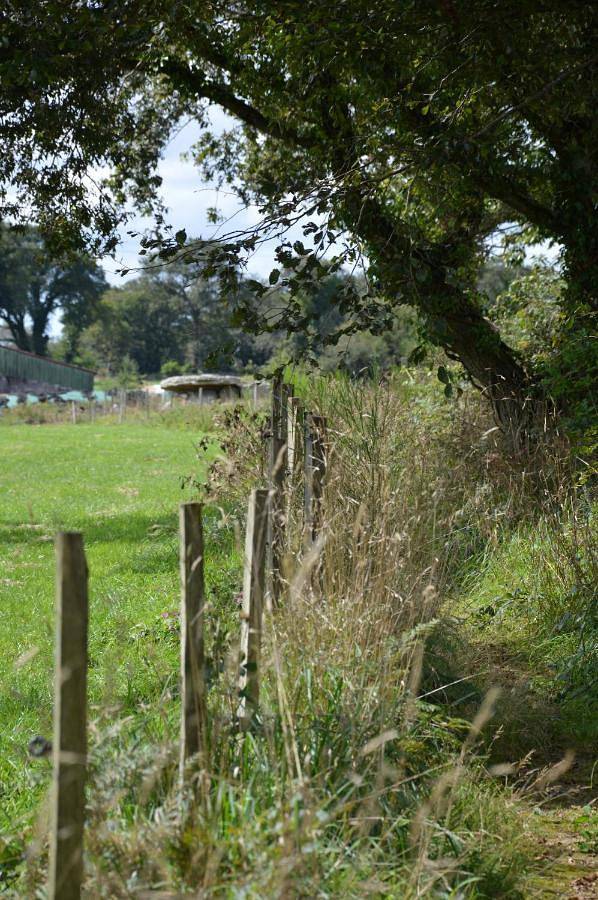 Location de vacances pour 9 personnes, avec vue et jardin à Guiscriff - 3