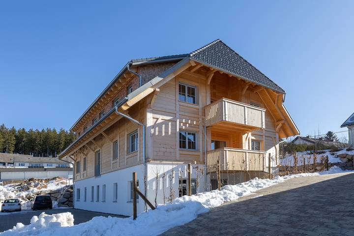 Gîte pour 6 personnes, avec sauna et terrasse à Schluchsee - 4