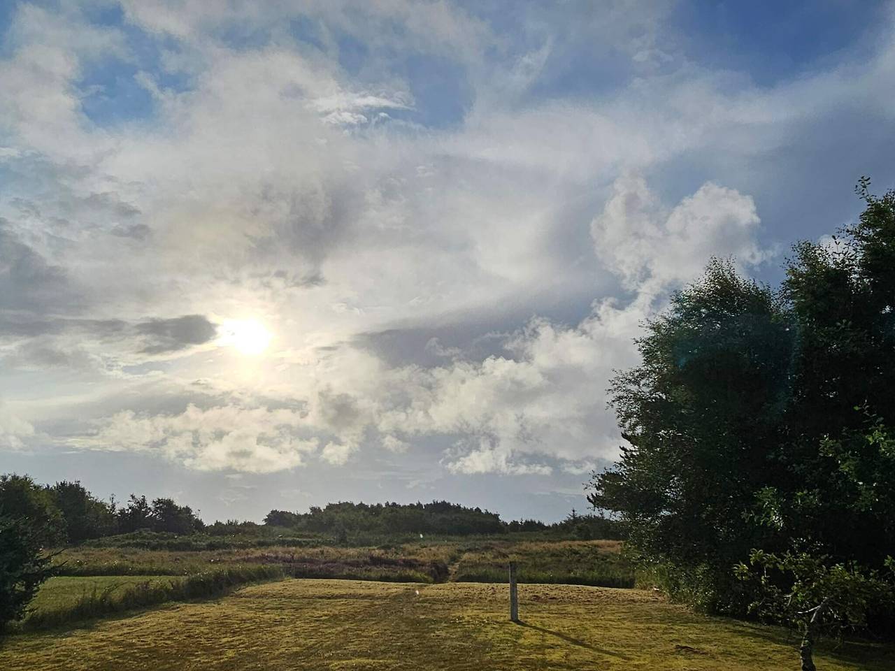 6 Personen Ferienhaus in Hals in Hou, Aalborg und Umgebung