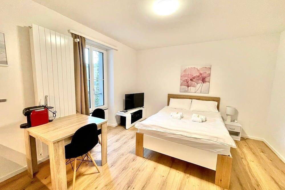 Entire apartment, Heart of Zurich Modern Studio (Hg20) in Zurich, Zurich district