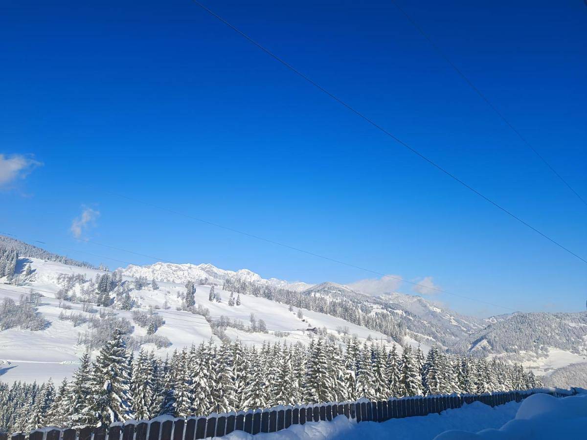 Ganze Wohnung, Apartment Hochkönigblick Pilzegg in Lend, Ski Amadé