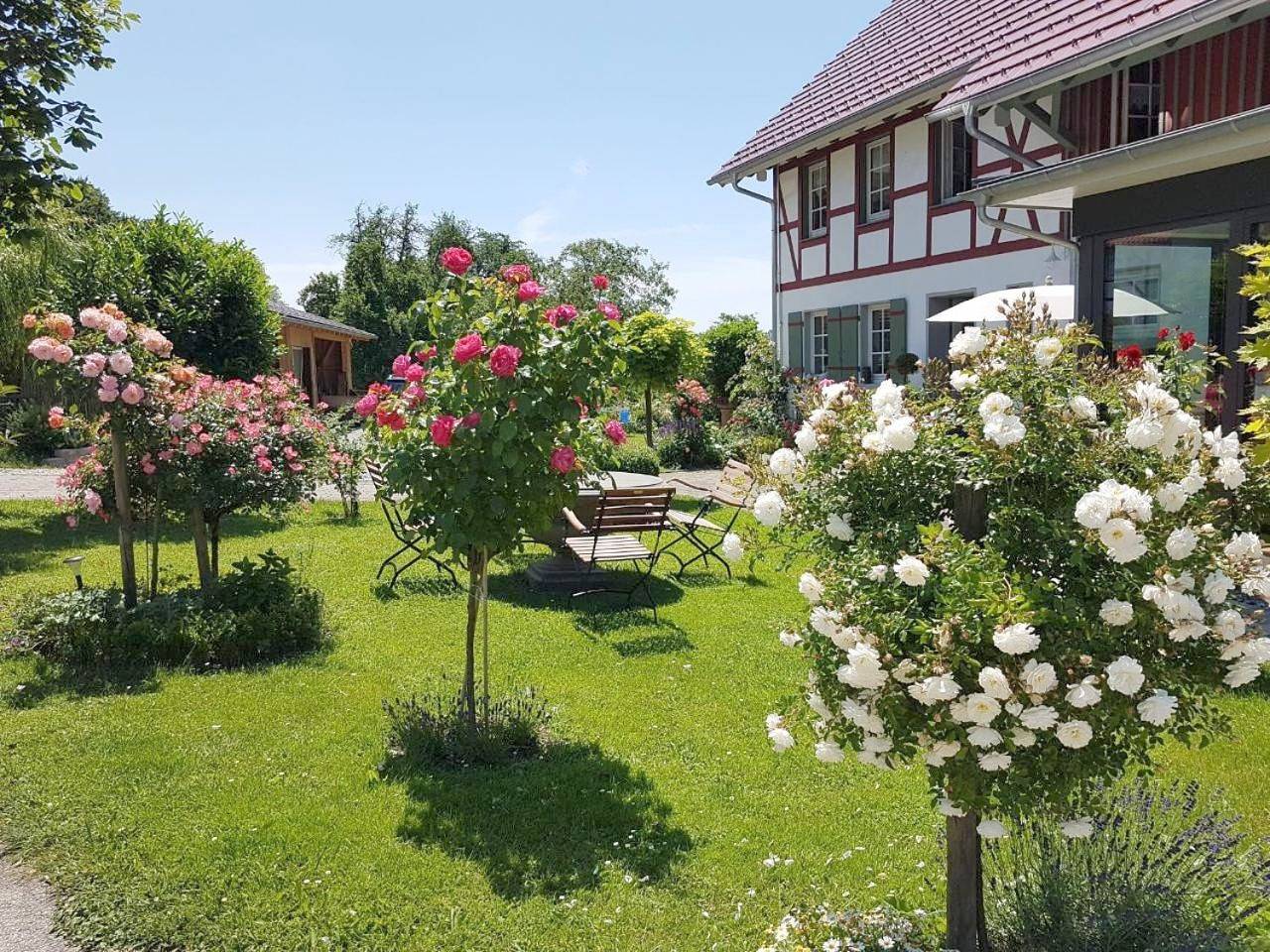 Landgut Apfelrose in Friedrichshafen, Region Bodensee-Oberschwaben