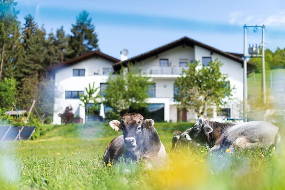 Haus Oberzöhr App1 - Olympia 2026 Langlauf, Nordische Kombination, Skispringen in Deutschnofen, Eggental