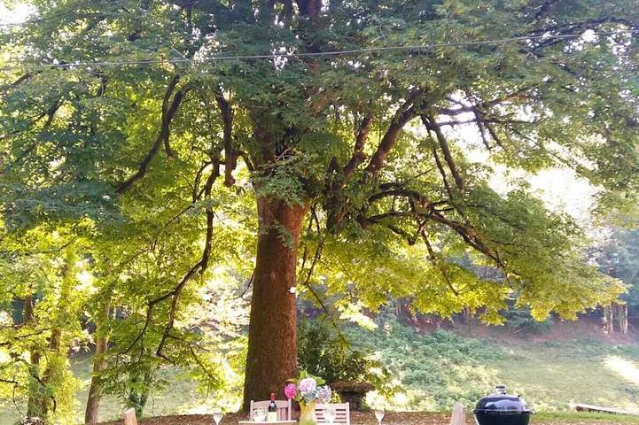 Location de vacances pour 12 personnes, avec sauna ainsi que jacuzzi et jardin, animaux acceptés à Le Bez