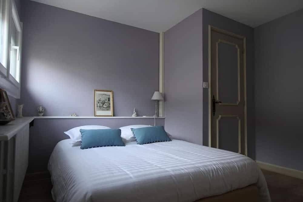 Villa du Parc - large character house close to the center in Montauban, Tarn-et-Garonne