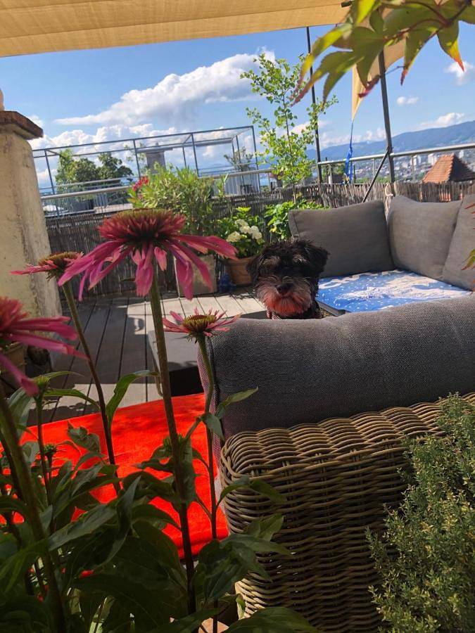 Apartamento de férias inteiro, Double Room with Shared Bathroom in Zurique, Bezirk Zürich