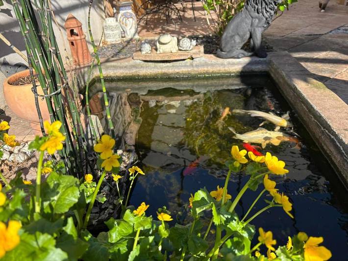 Location de vacances pour 2 personnes, avec terrasse ainsi que jardin et vue, animaux acceptés à Saint-Alban-Leysse - 4