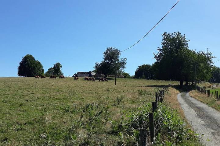 Gîte pour 2 personnes, avec jardin à Orgnac-sur-Vézère - 4