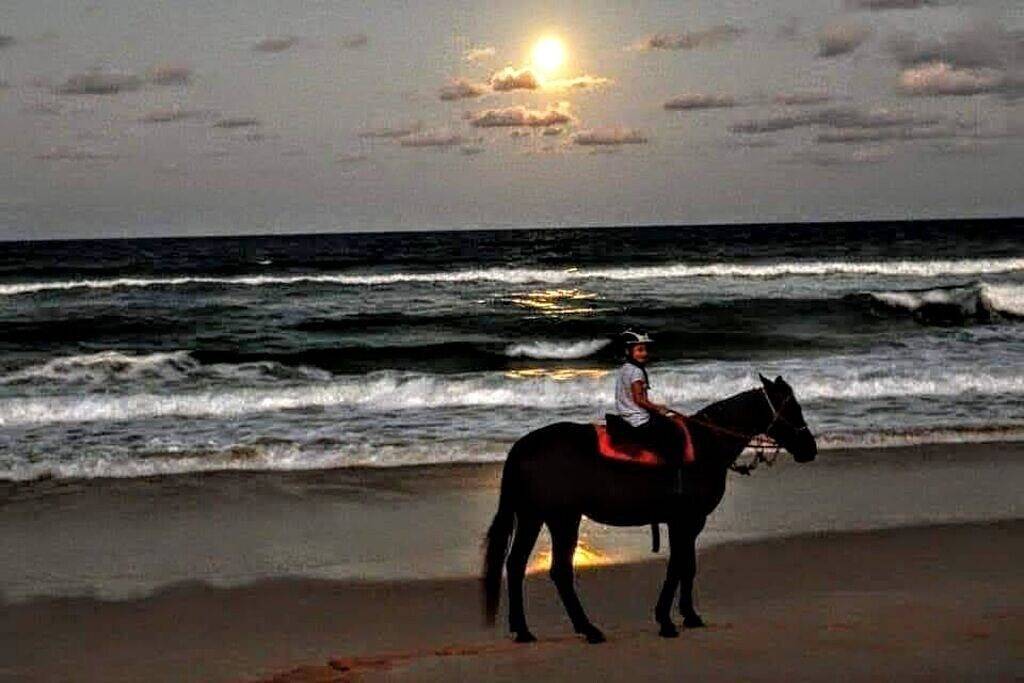 Ganze Wohnung, Süß und gemütlich Getaway auf Tidal Creek & Marsh in Country Club Estates, Glynn County