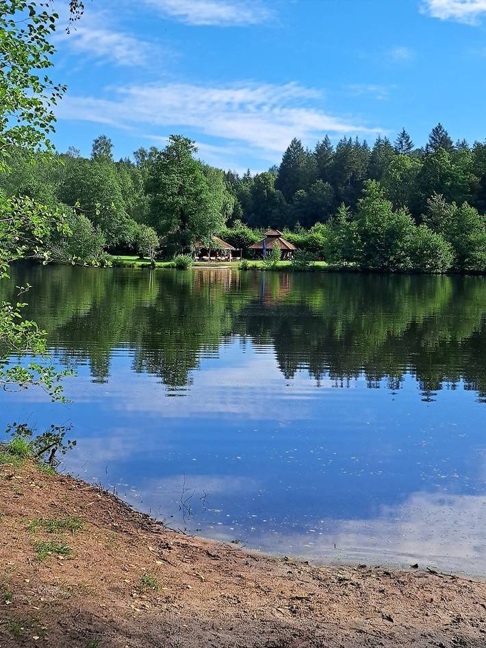Ferienwohnung für 3 Personen, mit Terrasse, mit Haustier in Ludwigswinkel