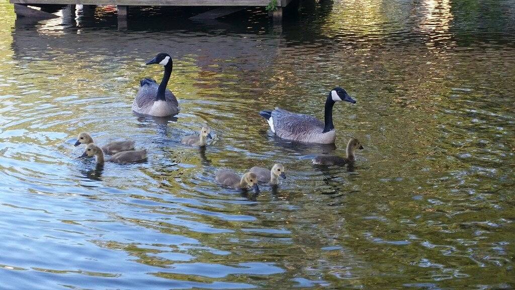East Texas Lake Cabin Hideaway in Van Zandt County