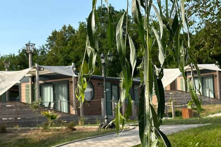 Bungalow für 4 Personen, mit Haustier in Franken - 4