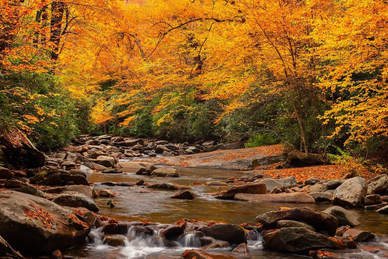 Ganze Wohnung, Romantic, Honeymoon Cabin in the Smokies! in Sevier County