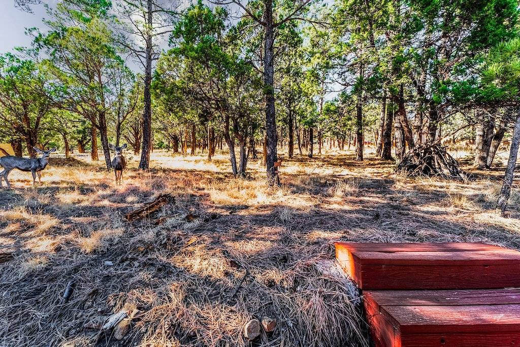 Gotch Eyed Moose | Pool + Tennis, Balcony, Views in Ski Apache