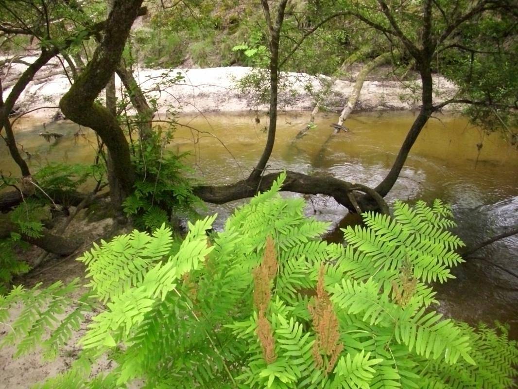 Gîte de Tambourin in Argelouse, Landes