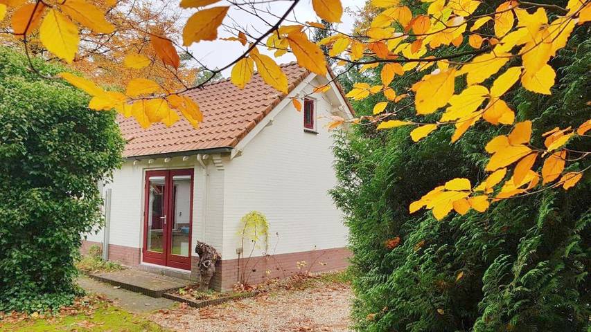 Vakantiehuis voor 6 personen, with Terras and Tuin as well as Sauna and Uitzicht in Epe