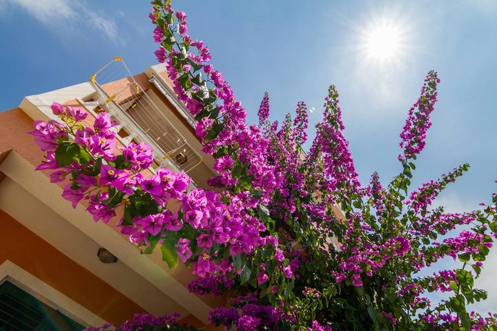 Ferienwohnung für 4 Personen, mit Balkon/Terrasse in Barbat na Rabu - 3