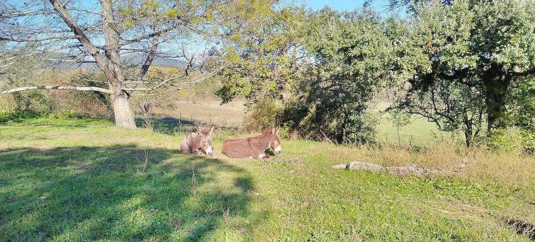 Location de vacances pour 15 personnes, avec jardin ainsi que piscine et vue à Rousson - 4