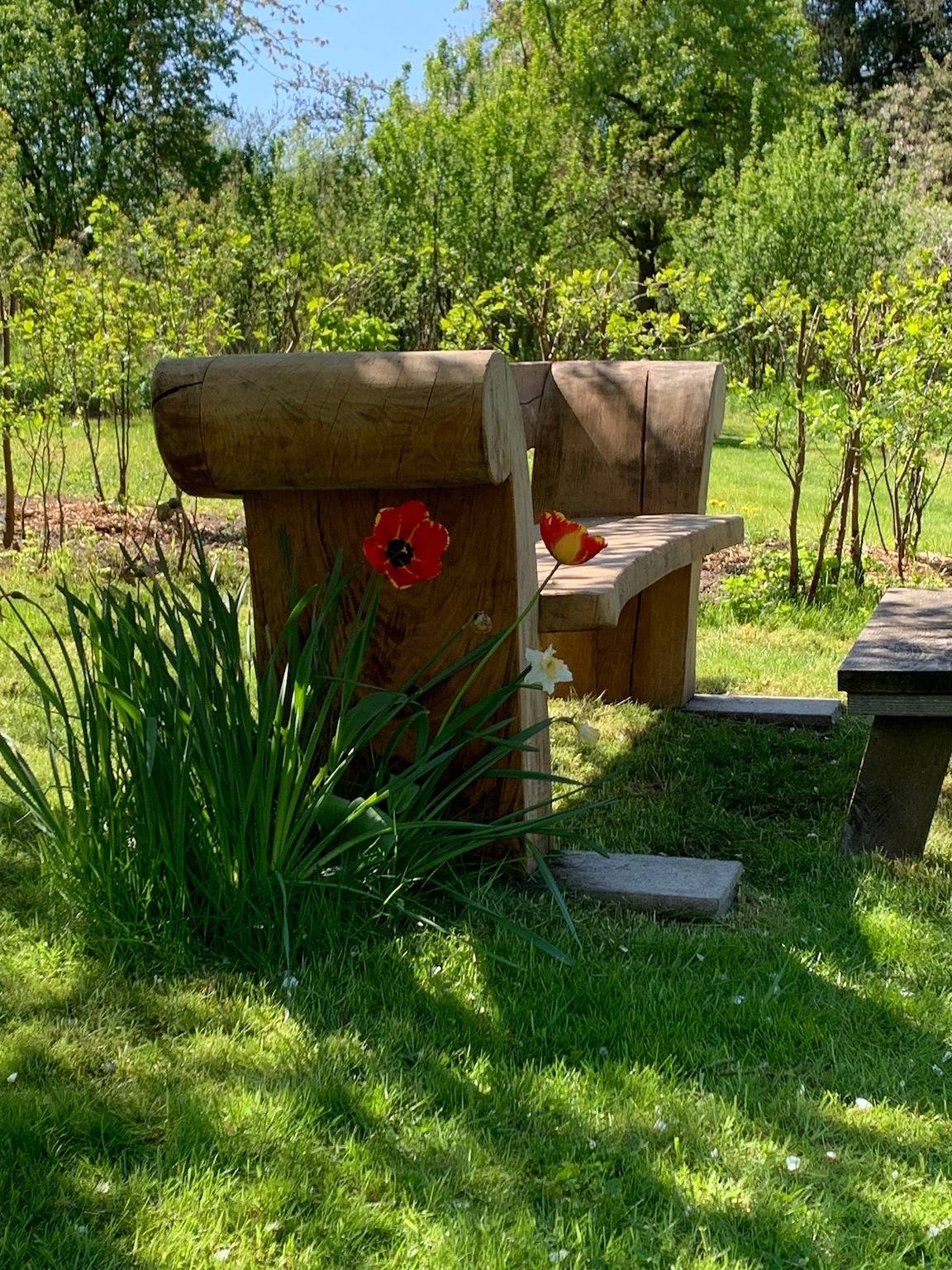 " Das Sommerhäuschen" es ist ein mit viel Liebe und Leidenschaft gebautes kleines Schmuckstück. in Sternberg, Ludwigslust-Parchim