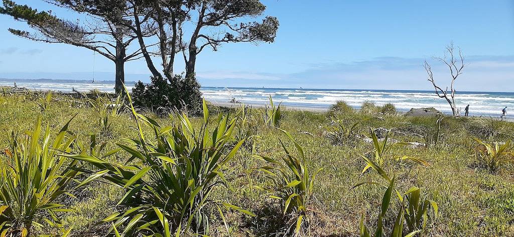 Seaside beach studio loft, sheltered garden and cycle trail access. Great value. in West Coast (Neuseeland)