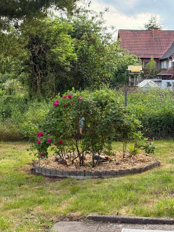 Ferienwohnung für 4 Personen, mit Balkon und Terrasse sowie Garten und Ausblick in Wolfhagen - 4