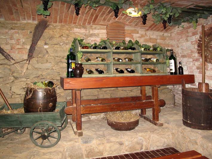 Bauernhof für 8 Personen, mit Garten und Terrasse, mit Haustier in Tschechien - 4