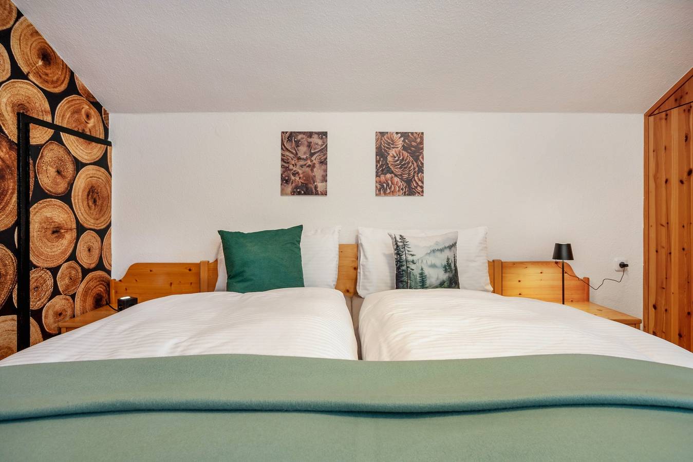 Appartement 'Carlina' met Uitzicht op de Bergen, Balkon en Wifi, foto 12