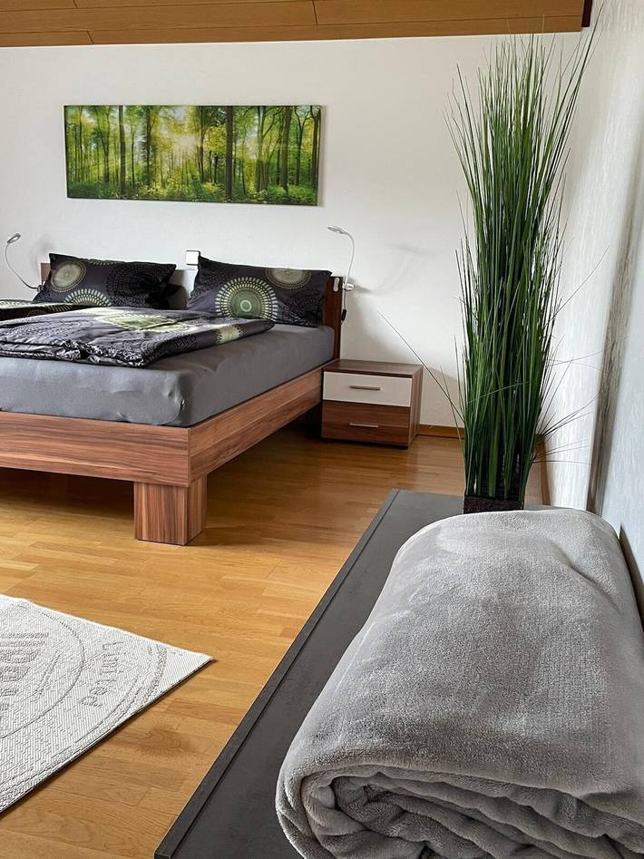 Gîte pour 4 personnes, avec balcon, adapté aux familles à Baden-Baden - 2