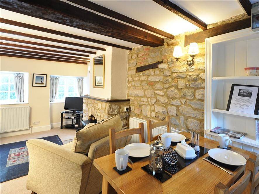 Little Ivy in Lulworth Cove, Dorset