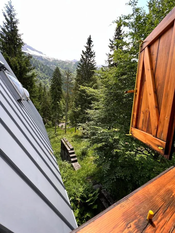 Chalet für 4 Personen, mit Garten und Ausblick, mit Haustier - 1