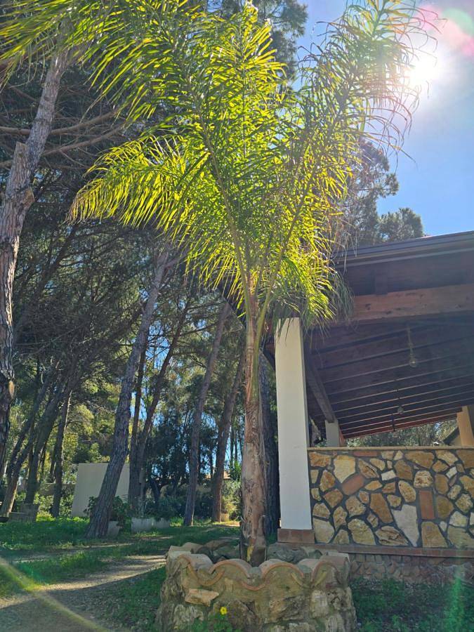 Camping für 5 Personen, mit Garten und Ausblick, mit Haustier in Kalabrien - 4