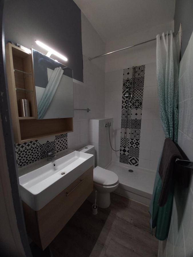 Double Room with Private Bathroom in Orthez, Béarn