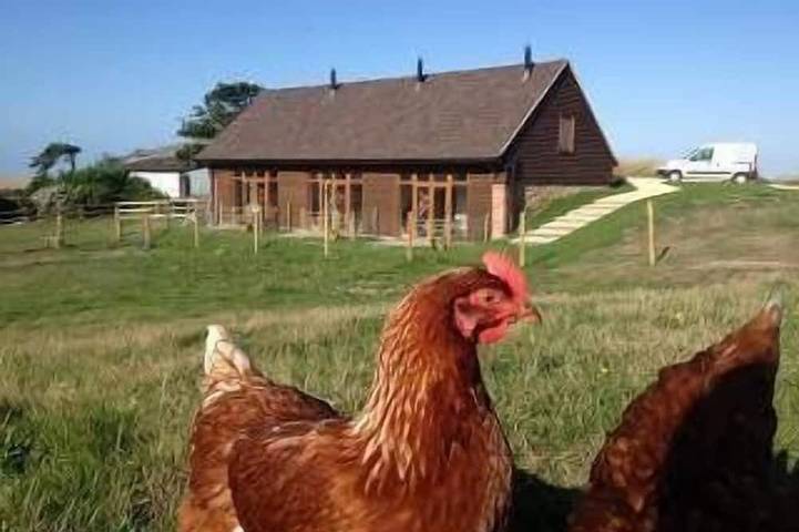 Cottage for 2 people, with garden on the Isle of Wight